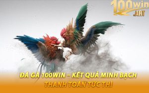 Đá Gà 100WIN – Kết Quả Minh Bạch, Thanh Toán Tức Thì