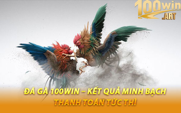 Đá Gà 100WIN – Kết Quả Minh Bạch, Thanh Toán Tức Thì