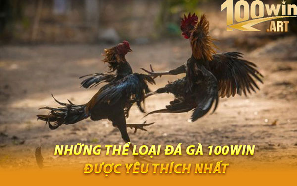Những Thể Loại Đá Gà 100WIN Được Yêu Thích Nhất
